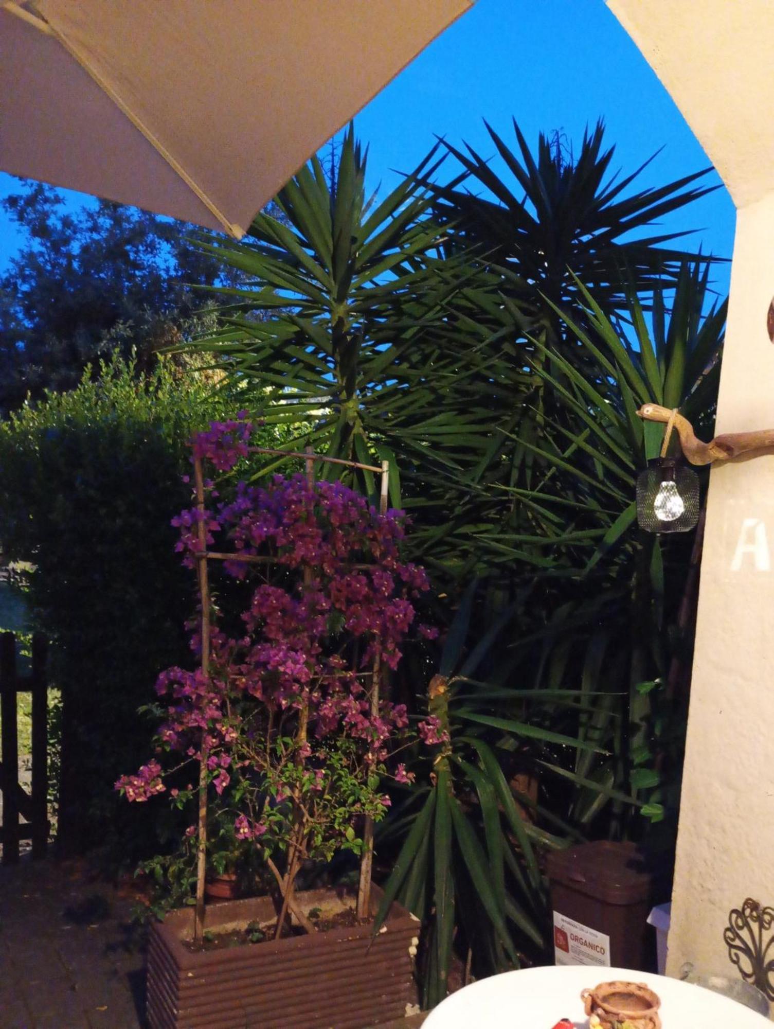 A10 Nel Borgo- Con Giardino Vista Mare Apartment Guardistallo Exterior photo